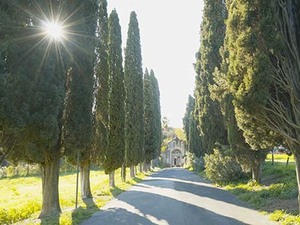 Rome, Catacombs of Saint Callixtus: Tour and Concert