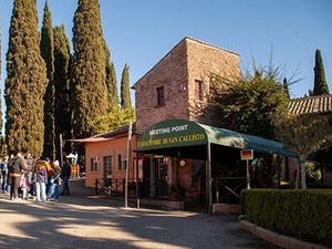 Rome, Catacombs of Saint Callixtus: Tour and Concert